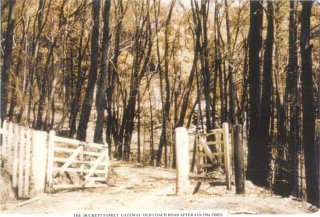 The Duckett family gateway Old Coach Rd after January 1962 fires