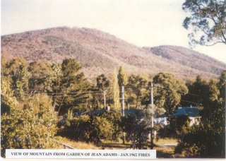 View of mountain from garden of Jean Adams - January 1962